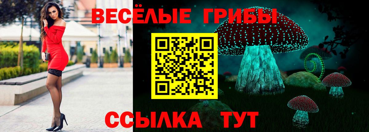 Южноуральск  Галлюциногенные грибы прущие грибы  Вход с VPN 
